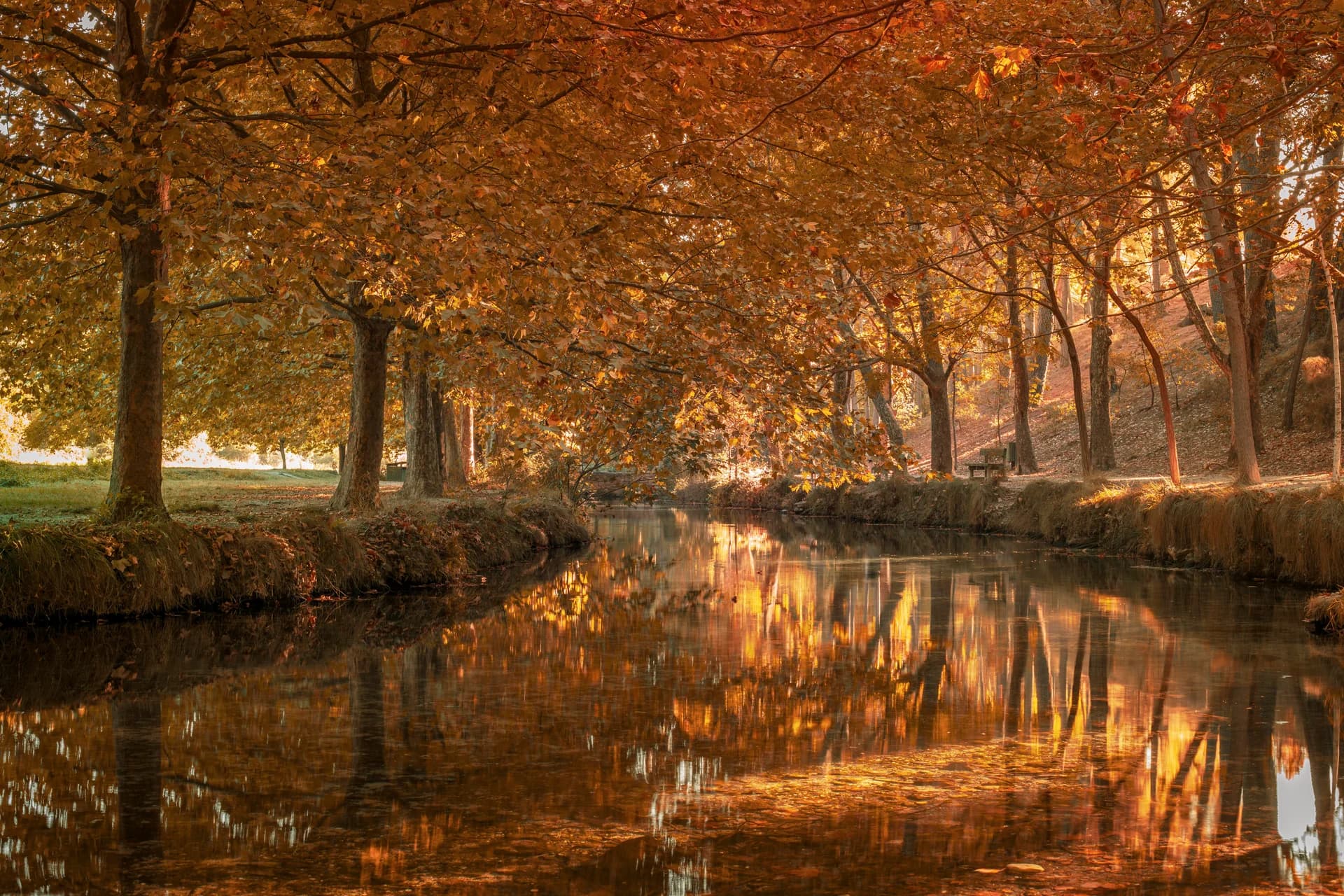 Evenements sur mesure a Geneve et au-dela